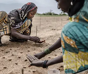 des humains dépendent de terres dégradées